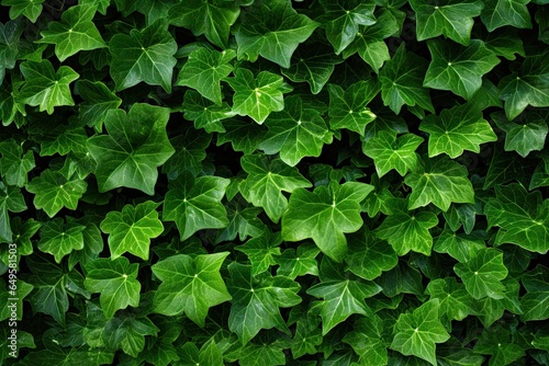 Wallpaper Mural Verdant enchantment. Garden lush embrace. Nature green symphony. Art of ivy and leaves. Nature wall. Summer serenity. Exploring beauty Torontodigital.ca