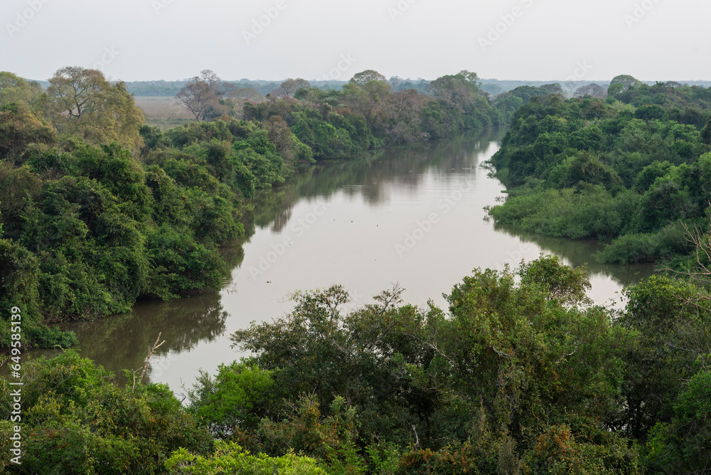 Beautiful view to Pixaim River and green wild vegetation