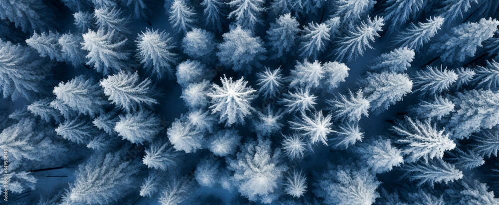 High-altitude shot of a dense, snow-covered pine forest with a deep blue winter hue.