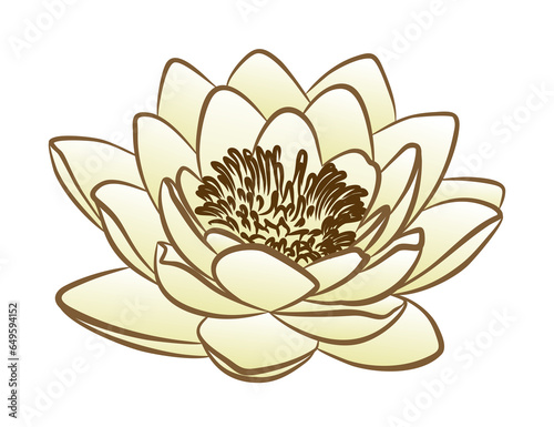 The symbol of a big water lily.