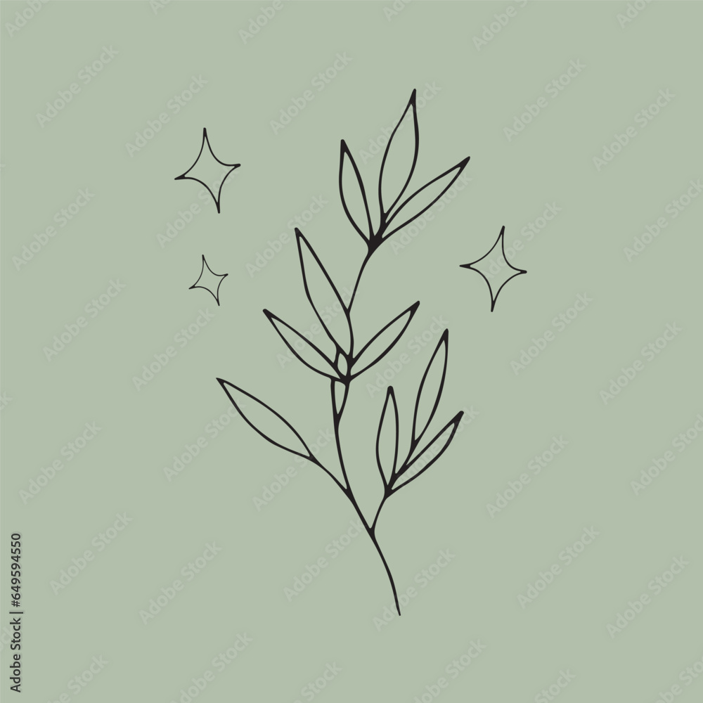 Obraz premium Hand drawn vector leaves on a green background.