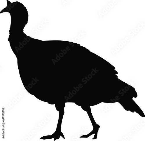 silhouette of a turkey
