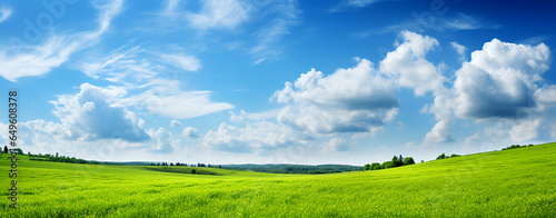 Green grass on the field  blue sky with clouds  beautiful rural landscape. Generative Ai