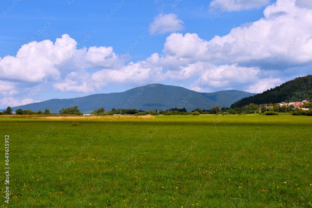 Field at lake Cerknica and Slivnica hill in the background in Notranjska, Slovenia