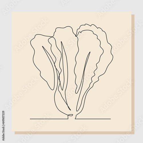 continuous single one line drawing of mustard green cabbage leaf. fresh vegetable line art concept. vector illustration	