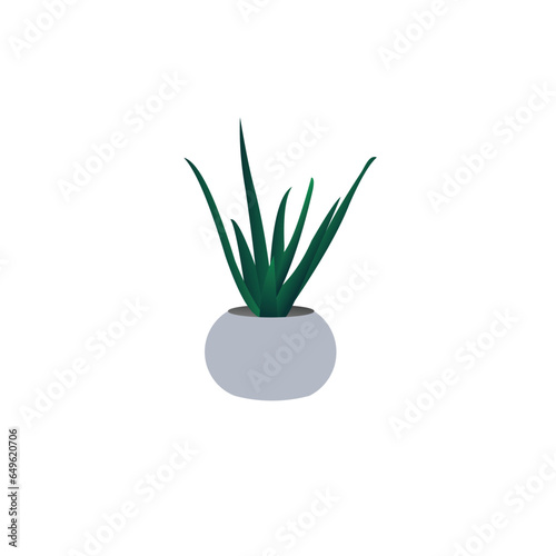 of decorative houseplants. Plants and nature homemade flowers in pot interior decoration in flat cartoon style. Vector illustration