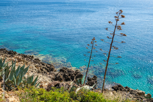 View of the rocky shore and crystal clear water of  Aegean Sea, Kolymvari (Kolymbari), Platanias, Crete, Greece