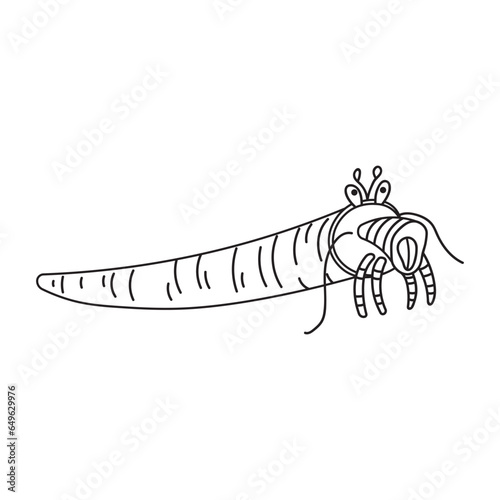 Hand drawn Cartoon Vector illustration tusk shell icon Isolated on White Background