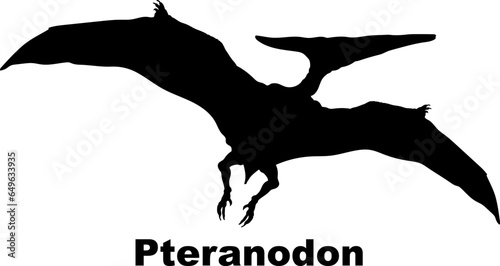 Pteranodon. Dinosaur silhouette dinosaur monogram dinosaur species dinosaur breed types of dinosaurs, types of dinosaurs, dinosaur monogram, dinosaur breed