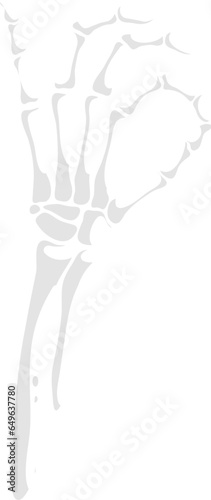 Skeleton hand ok gesture, isolated vector skeletal arm with bony fingers forming a circle and thumb touching, symbolizing approval or agreement, blending the macabre with a sign of affirmation