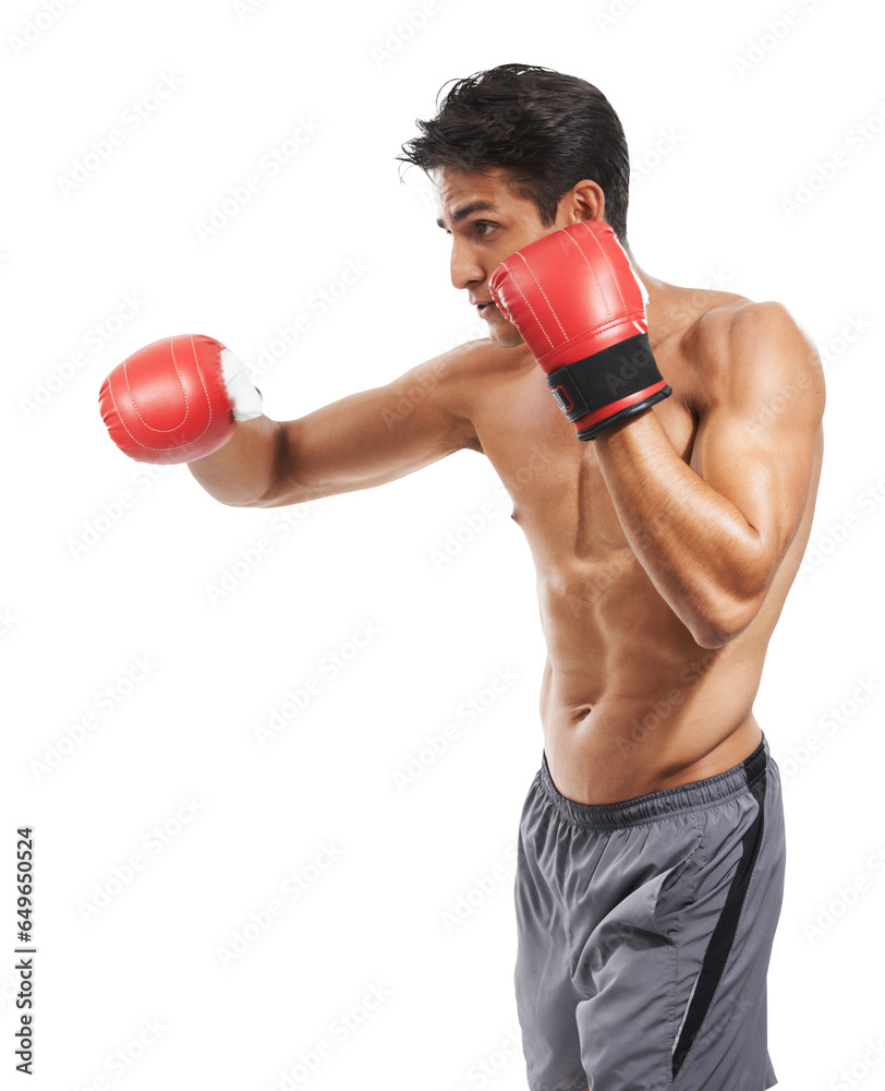 Isolated man, profile and gloves for training, power or performance for fight by transparent png background. Martial arts, mma expert or athlete for punch, exercise or workout with vision for contest