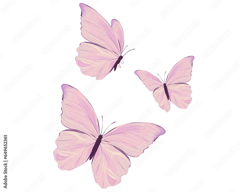 pink butterfly on white background waterclor 