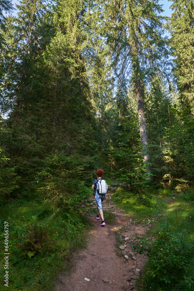 Woman hiker on a trail Woman hiker on a trail