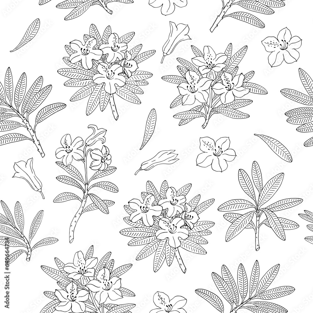 Seamless pattern background with  azalea, rhododendron branches, twigs with flowers, leaves. Floral botanical elements. Hand drawn line vector illustration.