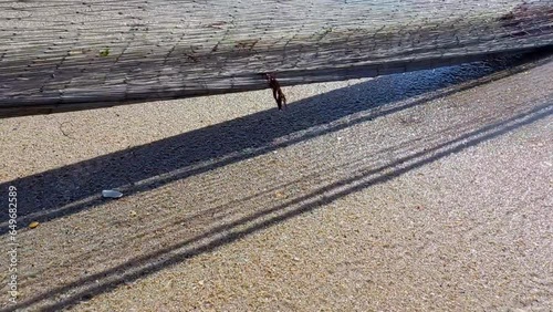 Close-up of a fishing net being pulled from the sea, in motion with its shadow cast on the sand photo