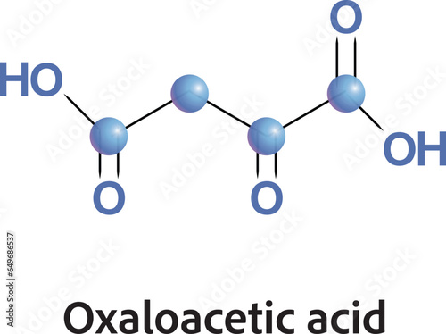 Oxaloacetic acid from citric acid cycle metabolic pathway atomic molecule