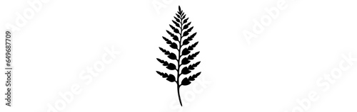 black and white  leaf vector
