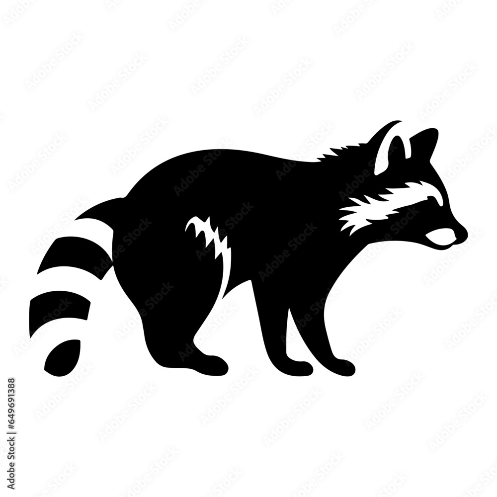 Obraz premium racoon silhouette