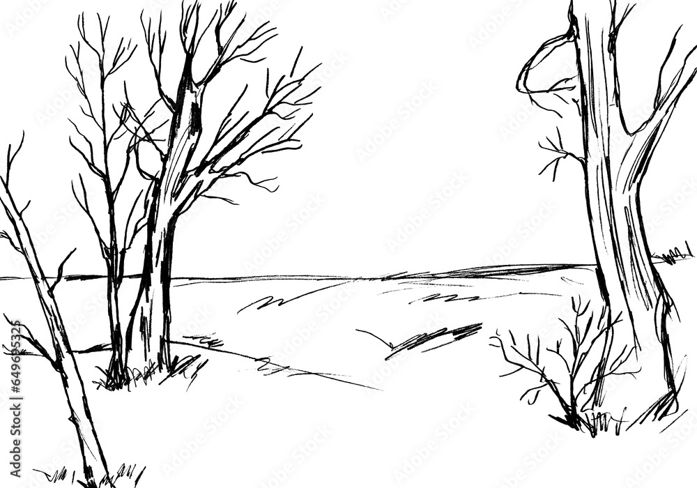 Fototapeta premium On a white background, a black outline of bare trees