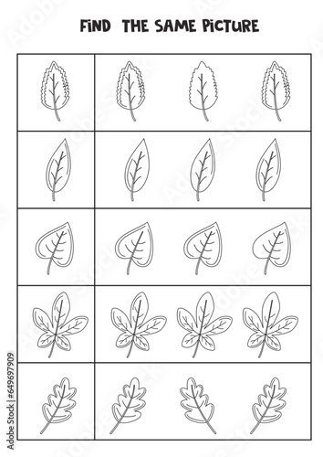 Find two the same autumn leaves. Black and white worksheet.