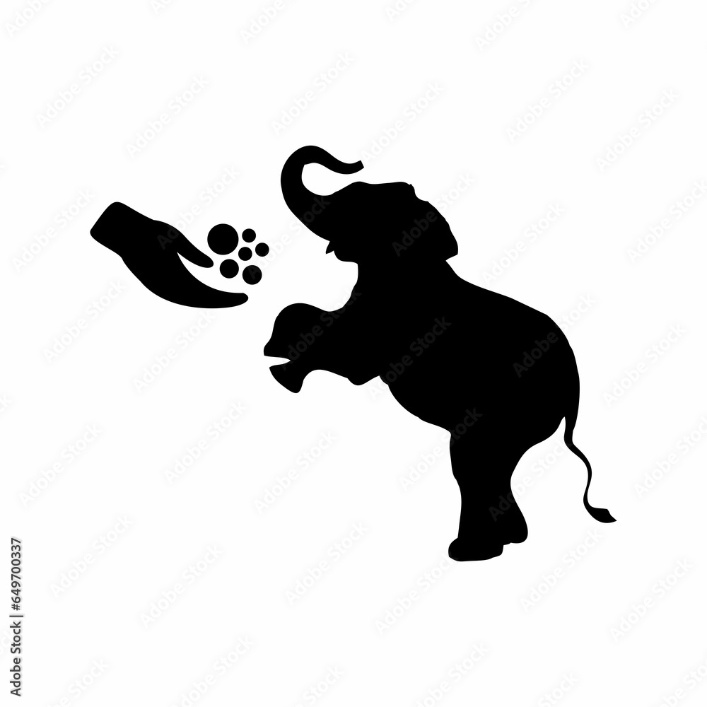 Obraz premium feed animals