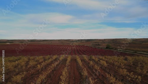 Aerial view of vineyards in autumn with reddish and yellow vine leaves. Speed effect.