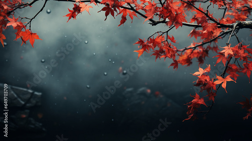 the branches and leaves of the Japanese red maple form an autumn text frame on a blurry cold blue background