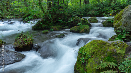 Fototapeta Naklejka Na Ścianę i Meble -  mossy forest stream - Oirase Stream
