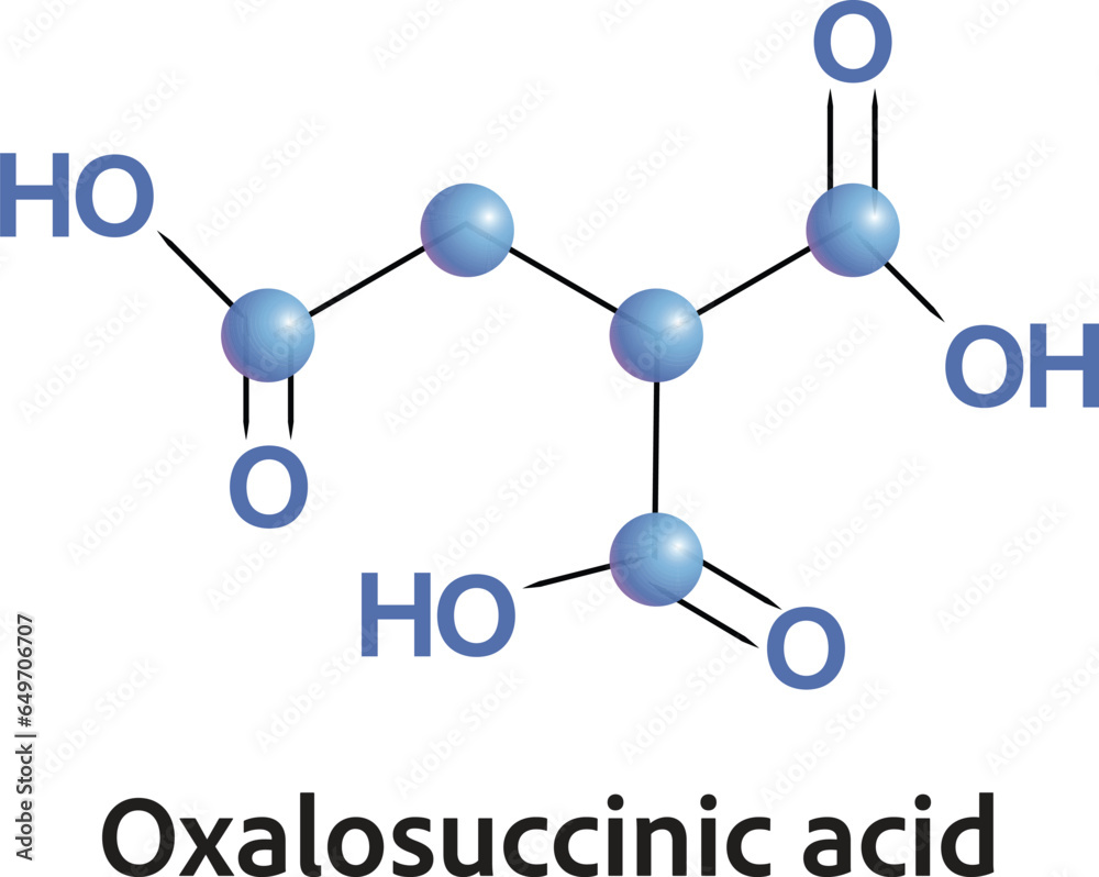Oxalosuccinic acid is a substrate of the citric acid cycle. It is acted upon by isocitrate dehydrogenase. Oxalosuccinic acid is a substrate of the citric acid cycle. It is acted upon by isocitrate dehydrogenase.