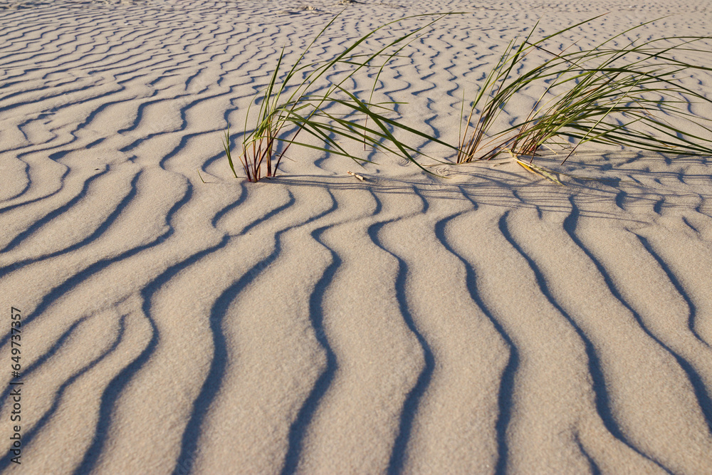 Obraz na płótnie Pofalowany piasek na Bałtyckiej plaży, wavy sand on the beach w salonie