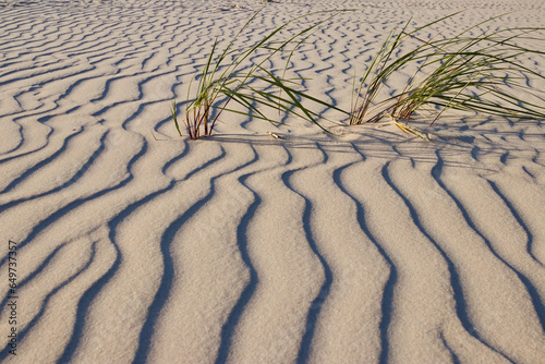 Fototapeta Naklejka Na Ścianę i Meble -  Pofalowany piasek na Bałtyckiej plaży, wavy sand on the beach