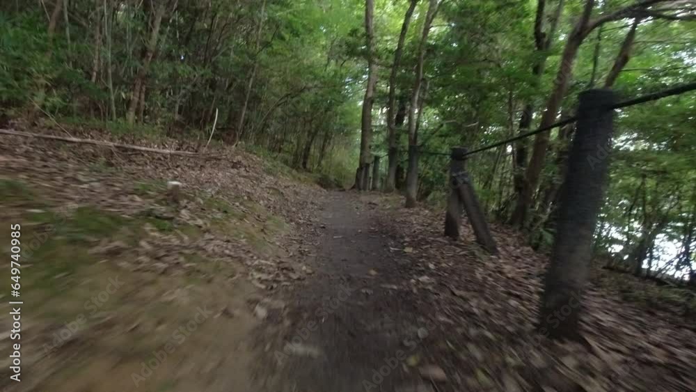 POV視点で撮影した森の中でランニング している様子 POV視点で撮影した森の中でランニング している様子