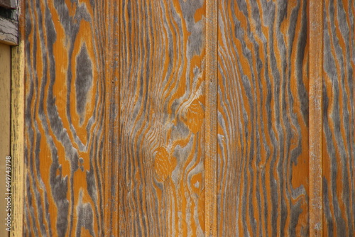 wood texture background