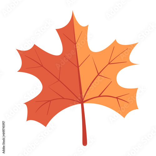 Autumn Maple Leaf Vector