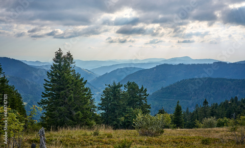 moody panoramic Black Fores...