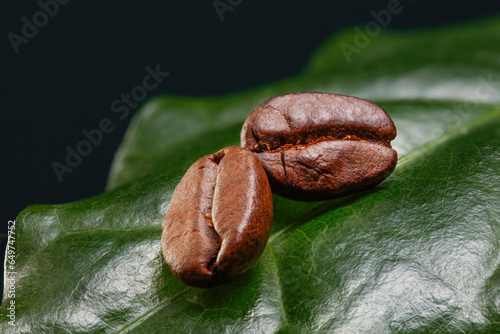 Coffee plant. Two coffee beans on a  green coffee leaf. Shallow depth of field.