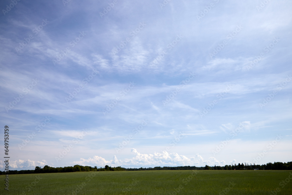 Summere scenery with a field and beautiful cloudy sky