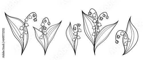 Set of lily of the valley flowers and leaves on an isolated background. Trendy hand-drawn botanical elements. elegant vector greenery, wildflowers for save the date invitation, card, design, print.	
