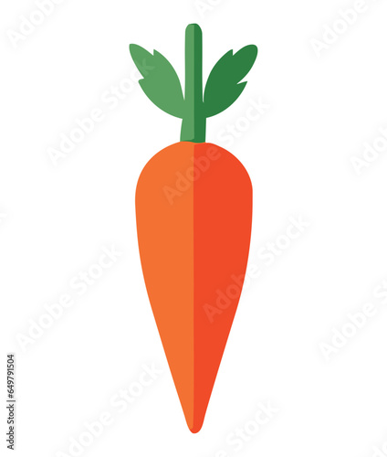 organic carrot illustration