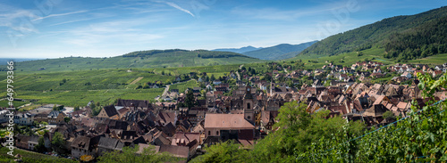 Riquewihr, France - 09 04 2023: Alsatian Vineyard. Panoramic view of vineyard fields along the wine route and Riquewihr village in the middle. photo