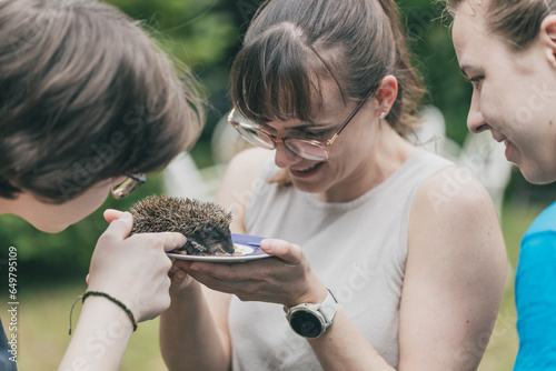 Frau sorgt sich um jungen Igel, Igelbaby, Jungtier. Menschen Tier. Vorsorge. Versorgen. Füttern.