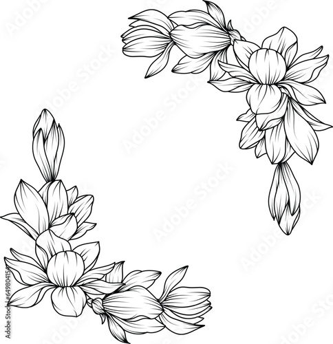 Magnolia Flower. sketch with black and white line art of magnolia flowers.