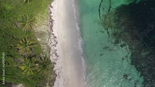 Plage déserte en Martinique