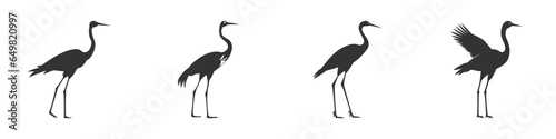 Crane bird silhouette set. Vector illustration.
