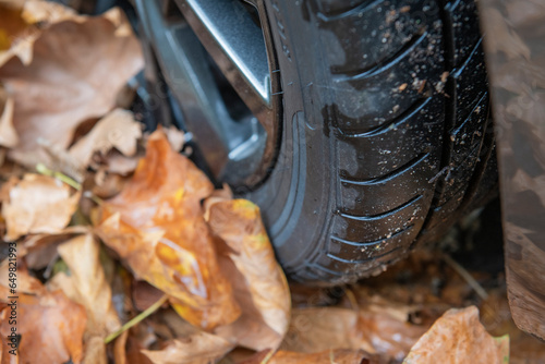 Driving in a car in autumn, fallen leaves and road grip.