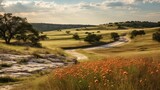 green texas hill country illustration colorful outdoor, scenic flowers, wildflowers sky green texas hill country
