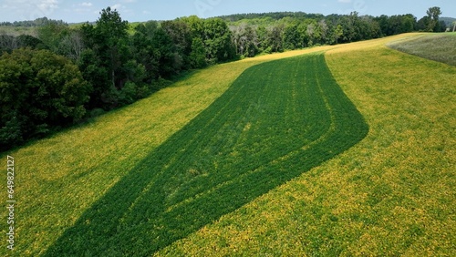 Beautiful farmers crop field on hillside landscape in up state New York
