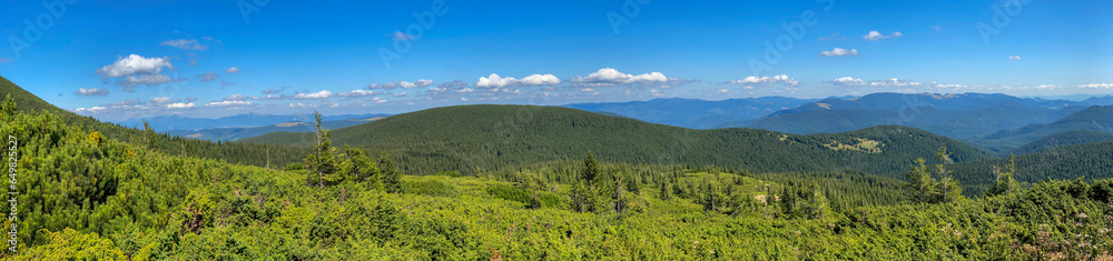 Mountain landscape with forest in the Carpathian mountains of Ukraine.