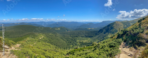 Mountain landscape with forest in the Carpathian mountains of Ukraine.