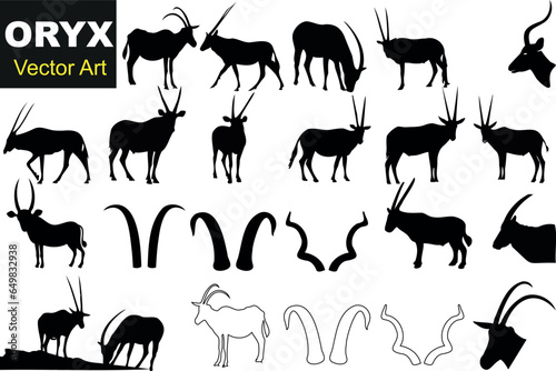 oryx Vector Art  collection of 16 black and white Oryx antelope illustrations. Includes various poses and angles  plus 4 distinct Oryx horn styles. Perfect for wildlife projects  biology presentation